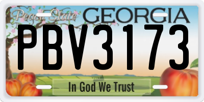 GA license plate PBV3173