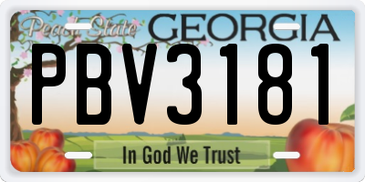 GA license plate PBV3181