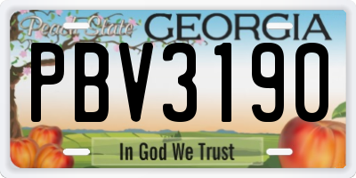 GA license plate PBV3190
