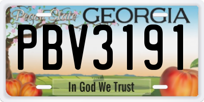 GA license plate PBV3191