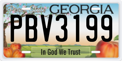 GA license plate PBV3199