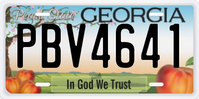 GA license plate PBV4641