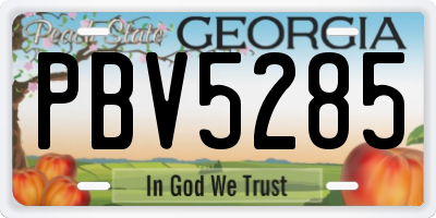 GA license plate PBV5285