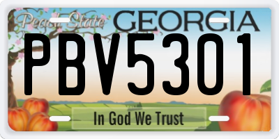 GA license plate PBV5301