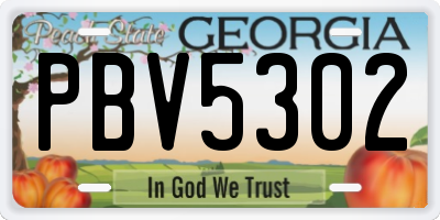 GA license plate PBV5302