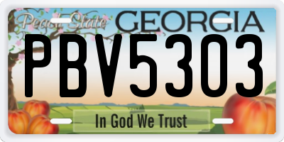GA license plate PBV5303