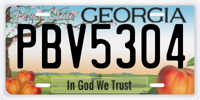 GA license plate PBV5304