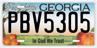 GA license plate PBV5305