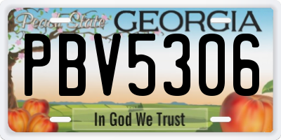 GA license plate PBV5306