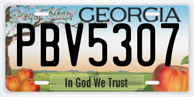 GA license plate PBV5307