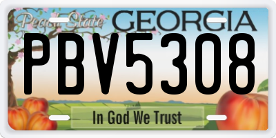 GA license plate PBV5308