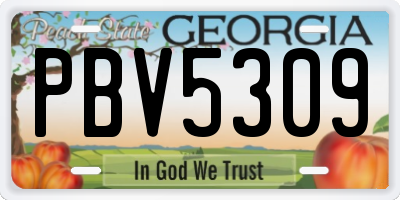 GA license plate PBV5309