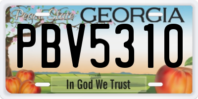 GA license plate PBV5310