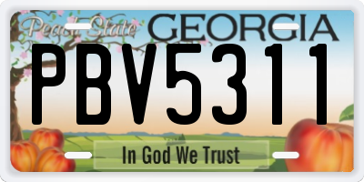 GA license plate PBV5311
