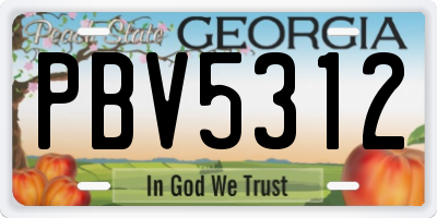 GA license plate PBV5312