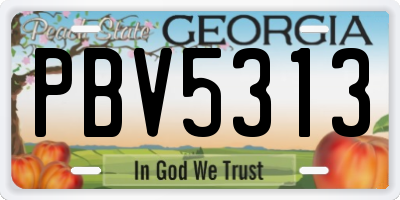 GA license plate PBV5313