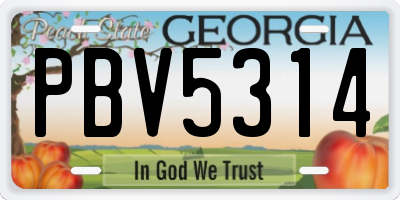 GA license plate PBV5314
