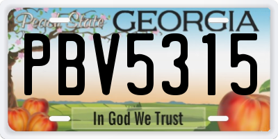 GA license plate PBV5315