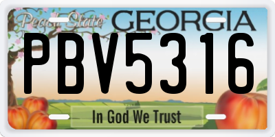 GA license plate PBV5316