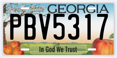 GA license plate PBV5317
