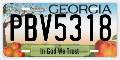 GA license plate PBV5318