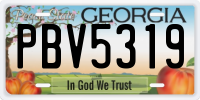 GA license plate PBV5319