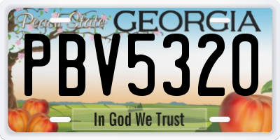 GA license plate PBV5320