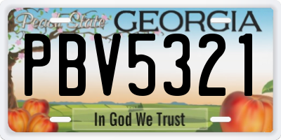 GA license plate PBV5321