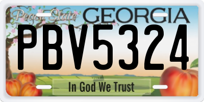 GA license plate PBV5324