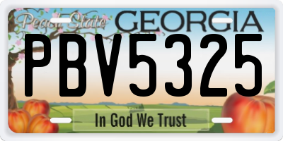 GA license plate PBV5325