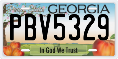 GA license plate PBV5329