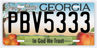 GA license plate PBV5333