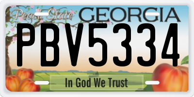 GA license plate PBV5334
