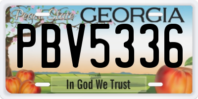 GA license plate PBV5336