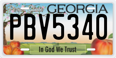 GA license plate PBV5340
