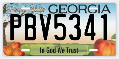 GA license plate PBV5341