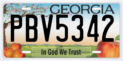 GA license plate PBV5342