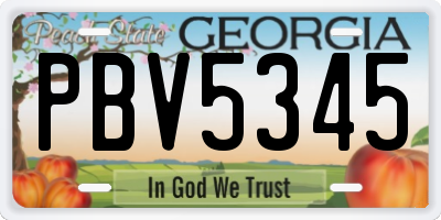 GA license plate PBV5345