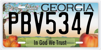 GA license plate PBV5347