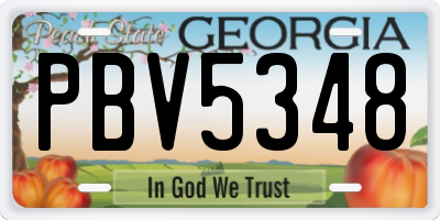 GA license plate PBV5348