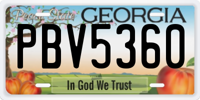 GA license plate PBV5360