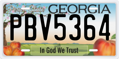GA license plate PBV5364