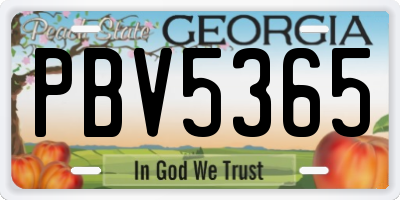GA license plate PBV5365
