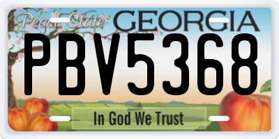 GA license plate PBV5368