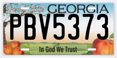 GA license plate PBV5373