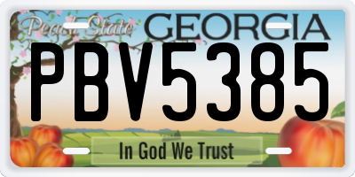 GA license plate PBV5385