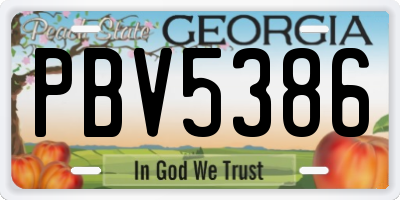 GA license plate PBV5386
