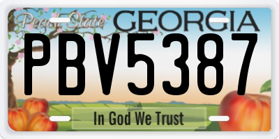 GA license plate PBV5387