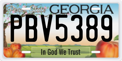 GA license plate PBV5389