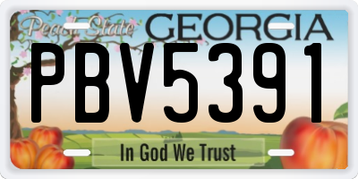 GA license plate PBV5391
